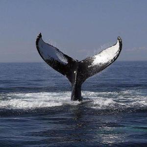 老女人保姆乱伦图片成视频
